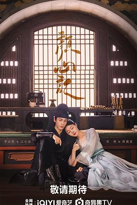 seo优化方案全网推广公司